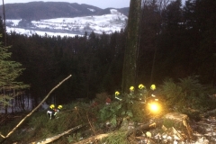 Bild2