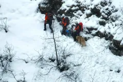 20240102-afk-mondsee-hund-02