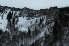 20240102-afk-mondsee-hund-03