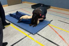 IMG-20250316-WA0014