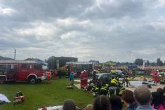 IMG-20250728-WA0023