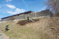 WhatsApp-Image-2026-03-14-at-17.40.13